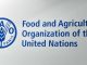 FAO Recruitment 2024/2025 Application Form Portal