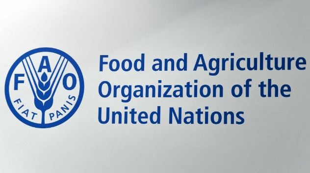 FAO Recruitment 2024/2025 Application Form Portal